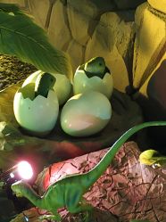 点击看大图 -恐龙探索乐园(磁器口店)