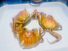 -奔海甄选·活鲜刺身铁板烧自助(太原里店)