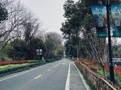 -西溪国家湿地公园