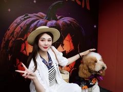 -华谊兄弟（长沙）电影小镇