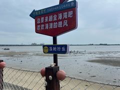 -北海金海湾红树林生态旅游区
