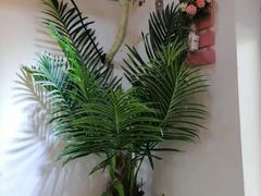 -津椰本·海南正宗椰奶清补凉(店一店)