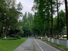-四川大学(望江校区)