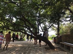 -连云港云龙涧原生态风景区