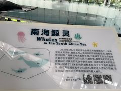 -中国（海南）南海博物馆