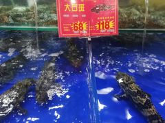 -东江海鲜酒家(艺都分店)