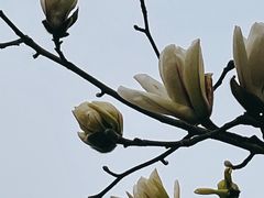 -睦南公园