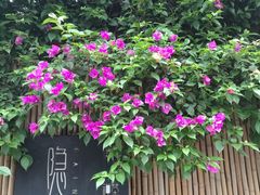 -三圣花乡旅游区