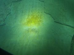 -白鹤梁水下博物馆