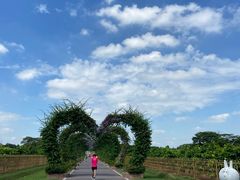 -迪茵湖田家舍生态农场
