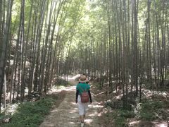 -天花井景区