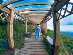 -白草畔自然风景区