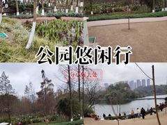 -重庆彩云湖湿地公园