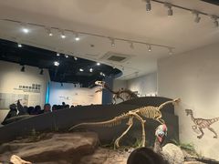 -自贡恐龙博物馆