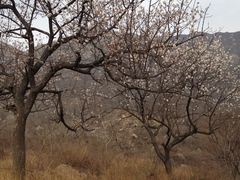 -封龙山风景区