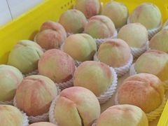 -老袁家蜜桃农场·阳山水蜜桃