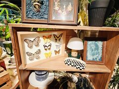 -自由生长植物工作室(深港花卉中心店)