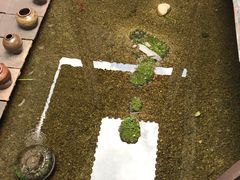 -几荷·恰似故人来(秀水广场店)