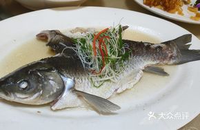 Steamed Mountain Stream Grass Carp with Salt and Oil