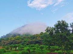 -广州市石门国家森林公园
