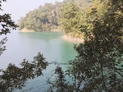 -广州市流溪河国家森林公园