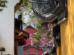 -丝绸小镇荻港古村