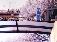 -玲珑塔公园