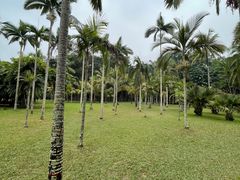 -中国科学院西双版纳热带植物园