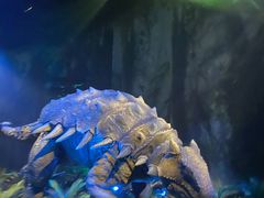 -侏罗纪世界电影特展(广州站)