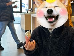 -麦当劳(金山红星美凯龙DT店)