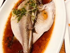 -周锦记广式餐厅