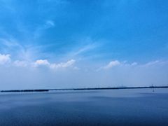 -漕湖湿地公园