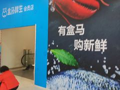 -盒马X会员店(王府井奥莱UP TOWN店)