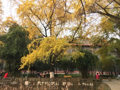 -四川大学(华西校区)