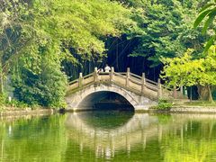 -棠湖公园