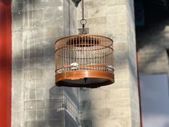 -北京古城老院厉晓麟精致菜