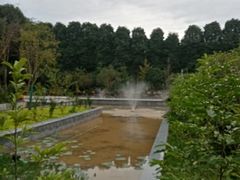 -三圣花乡旅游区