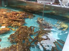 -盒马鲜生(宝地店)