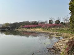 -同里国家湿地公园