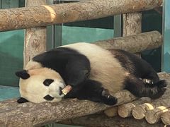 -大连森林动物园