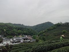 -龙井村