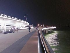 -演武大桥观景平台