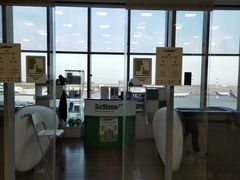 -谢列梅捷沃国际机场