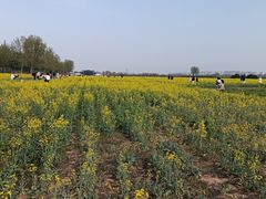 -汉长安城未央宫国家考古遗址公园