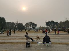 -成都泰迪熊博物馆