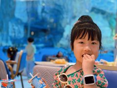 -帝企鹅自助餐厅•儿童岛•真企鹅(长隆企鹅酒店)