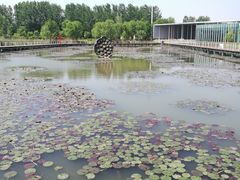 -微山湖红荷湿地景区