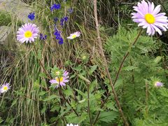 -白草畔自然风景区