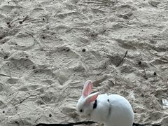 -御蝶坊KNAC(留仙居店)