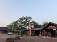 -大湾区中央湿地公园
